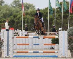 jumper Ovito van de Looise Heide (Belgian Warmblood, 2014, from Hunters Scendro)