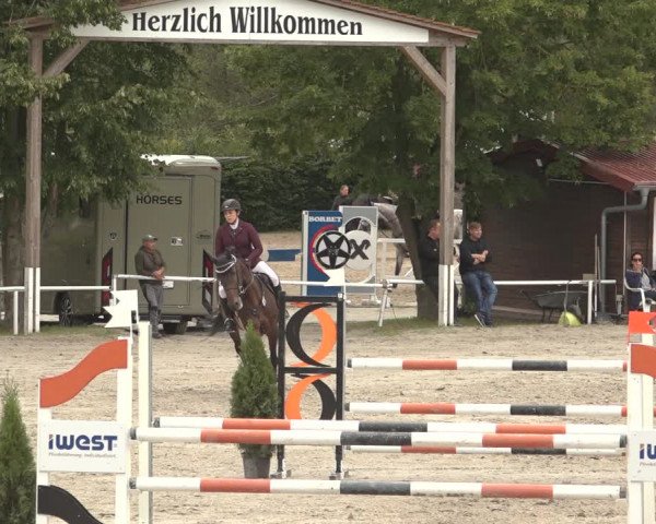 Reitturnier Richelsdorf 2023