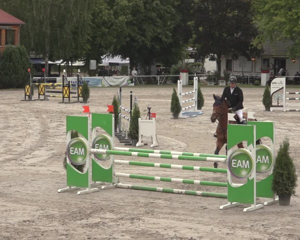 Reitturnier Richelsdorf 2023