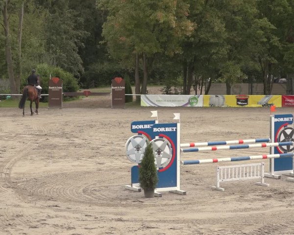 Reitturnier Richelsdorf 2023