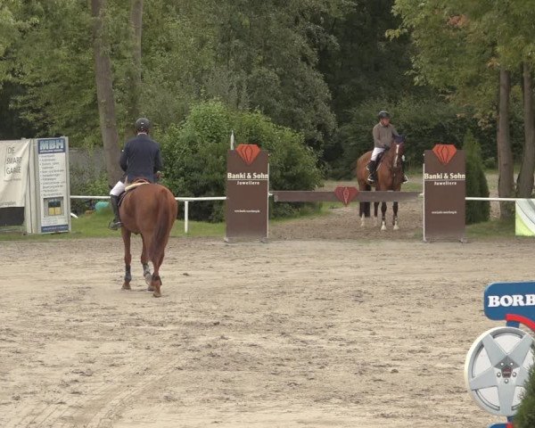 Reitturnier Richelsdorf 2023
