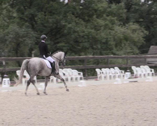 Reitturnier Müncheberg 2023
