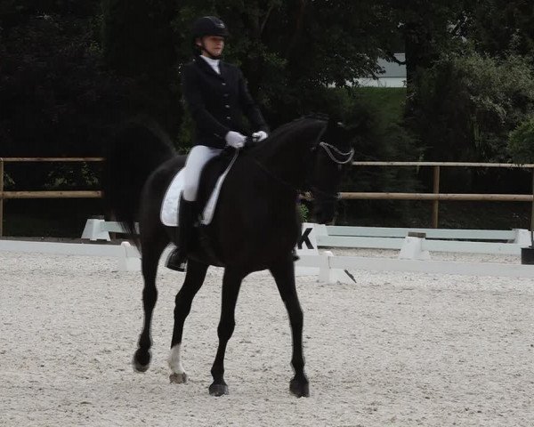 Reitturnier St. Ulrich am Pillersee 2023