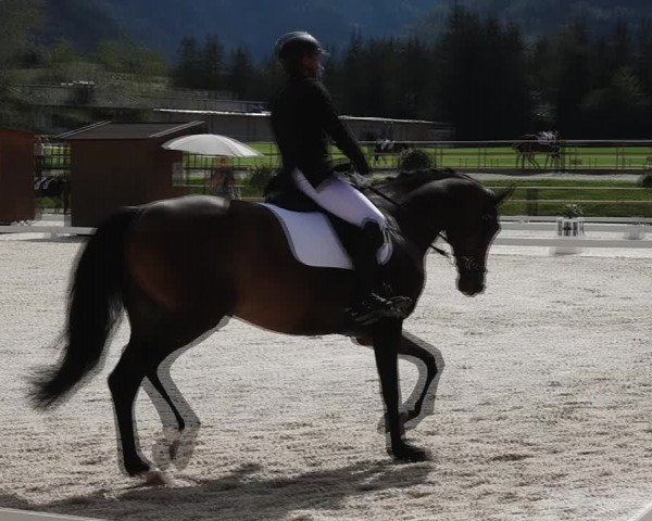 Reitturnier St. Ulrich am Pillersee 2023