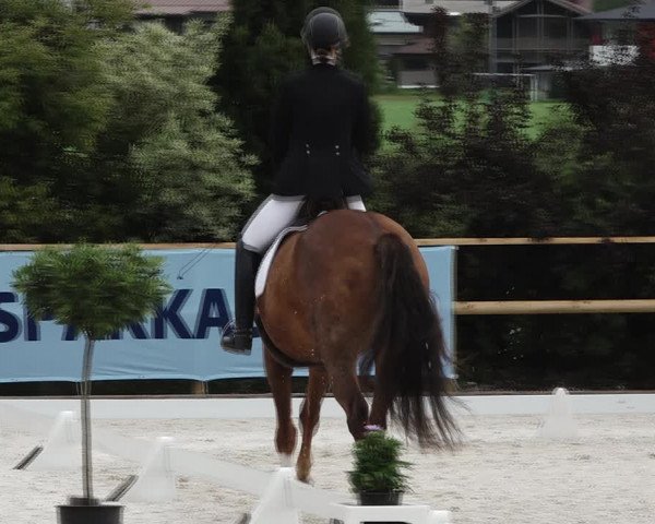 Reitturnier St. Ulrich am Pillersee 2023