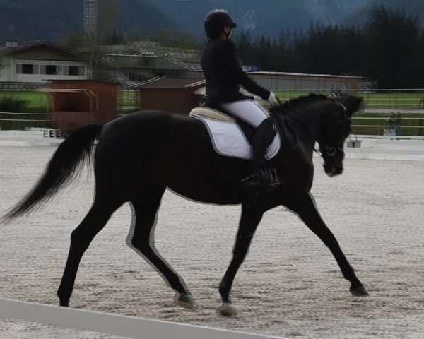 Reitturnier St. Ulrich am Pillersee 2023