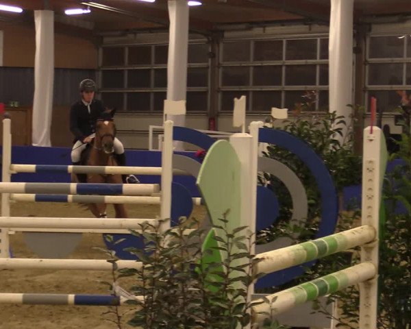 Euregio Springturnier Isterberg 2021