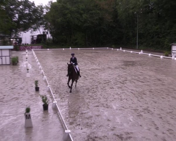 Reitturnier Köln-Flittard (Scheuerhof) 2023