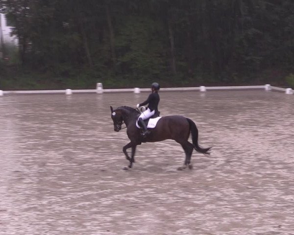Reitturnier Köln-Flittard (Scheuerhof) 2023