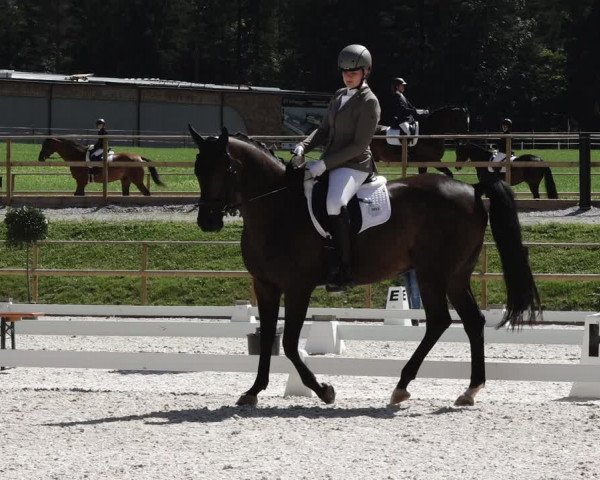 Reitturnier St. Ulrich am Pillersee 2023