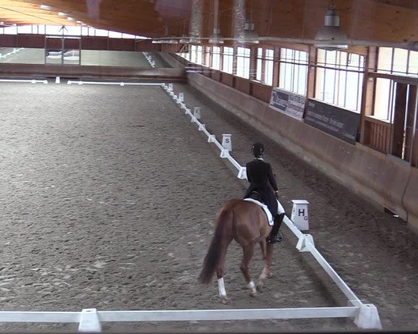 Dressurturnier mit Hallenchampionat Tremsdorf, Eichenhof 2021