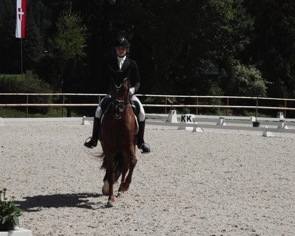 Reitturnier St. Ulrich am Pillersee 2023