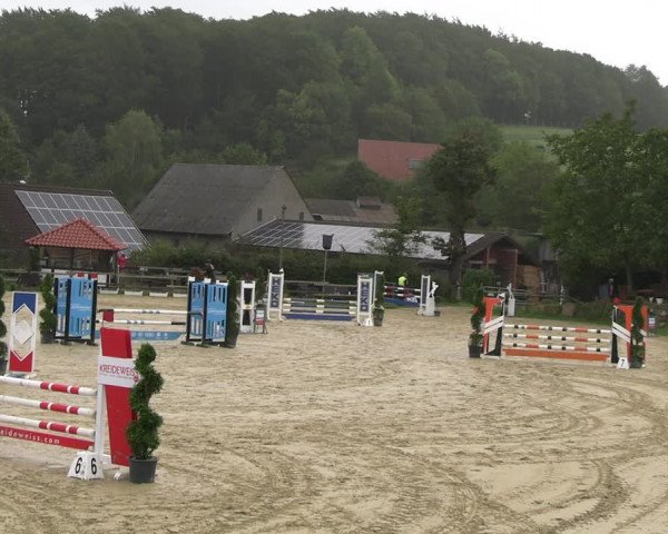 Reitturnier Vlotho-Valdorf 2023