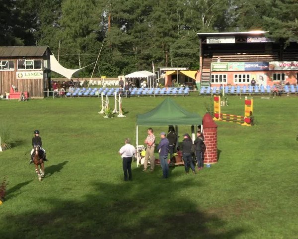 Reitturnier Dannenberg 2023