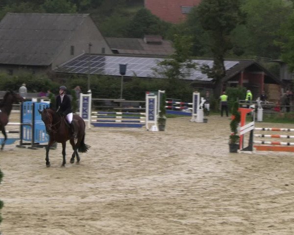 Reitturnier Vlotho-Valdorf 2023