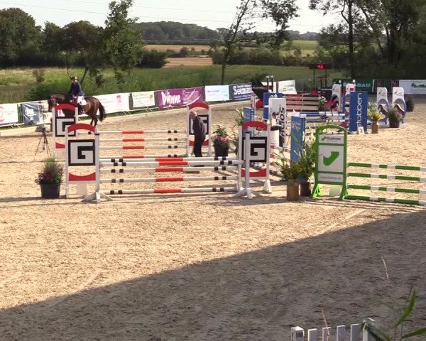 Reitturnier Sörup 2023