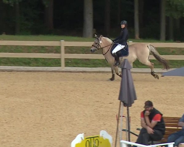 Reitturnier Tiefenhof 2023