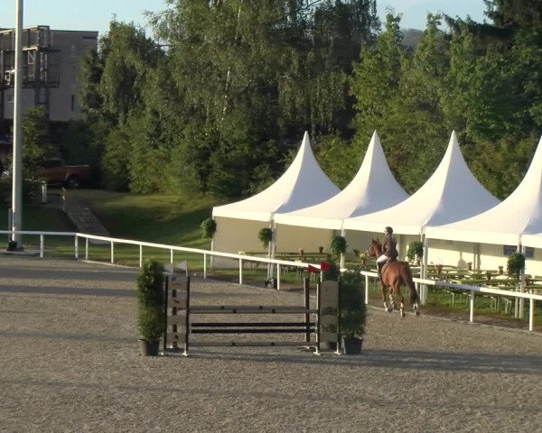 Reitturnier Bülach 2023