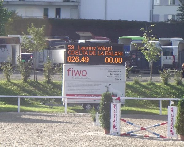 Reitturnier Bülach 2023