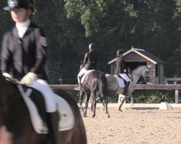 Reitturnier Müncheberg 2023