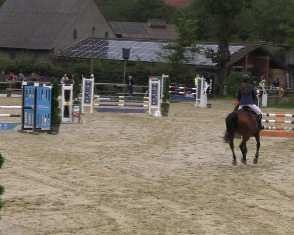 Reitturnier Vlotho-Valdorf 2023