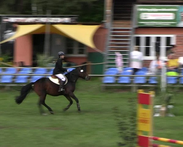 Reitturnier Dannenberg 2023