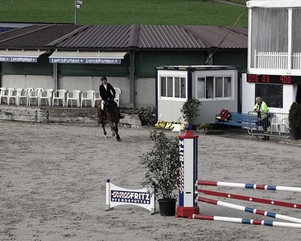 Reitturnier Humlikon 2023