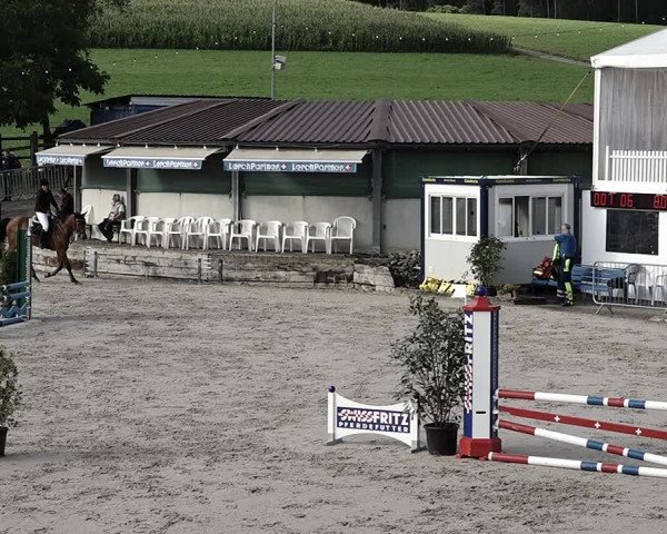 Reitturnier Humlikon 2023