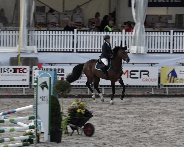 Reitturnier Humlikon 2023