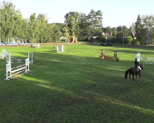 Reitturnier Dannenberg 2023