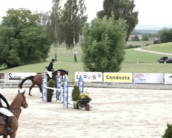 Reitturnier Humlikon 2023