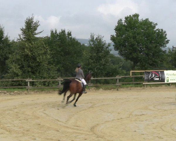 Reitturnier Vlotho-Valdorf 2023