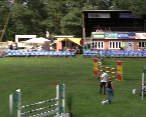 Reitturnier Dannenberg 2023