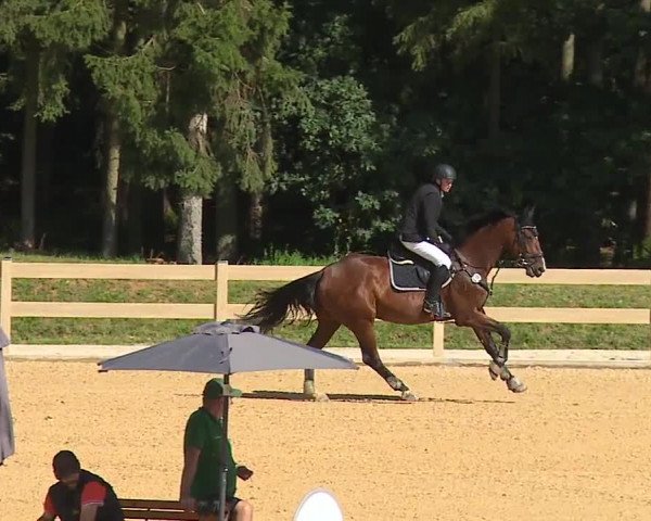Reitturnier Tiefenhof 2023