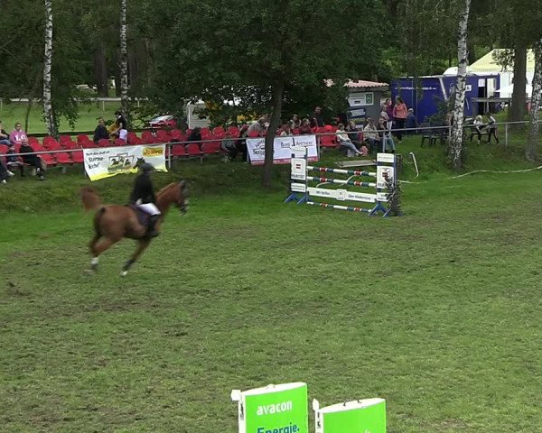 Reitturnier Dannenberg 2023