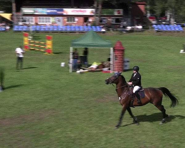 Reitturnier Dannenberg 2023