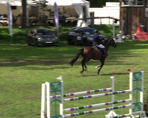 Reitturnier Dannenberg 2023