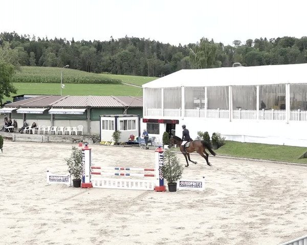 Reitturnier Humlikon 2023