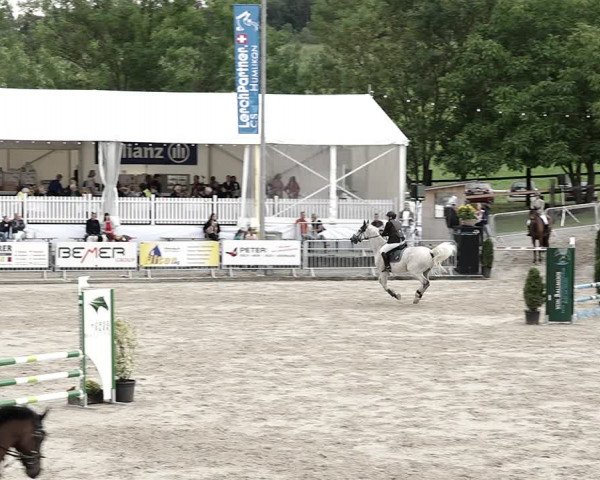 Reitturnier Humlikon 2023