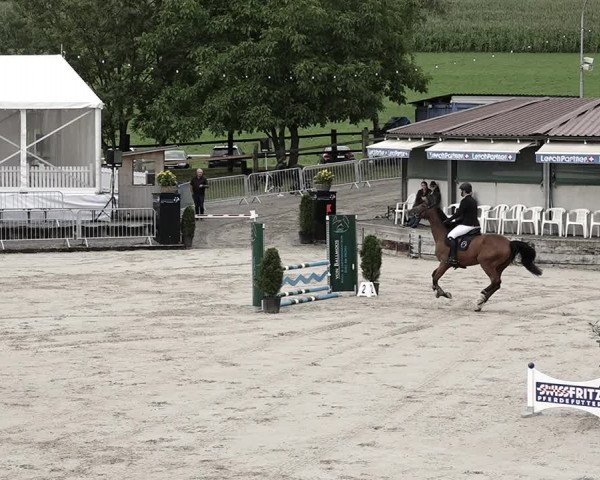 Reitturnier Humlikon 2023