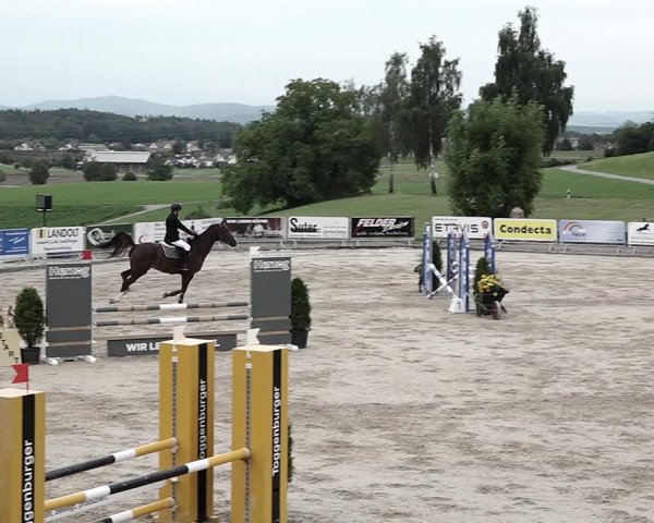 Reitturnier Humlikon 2023