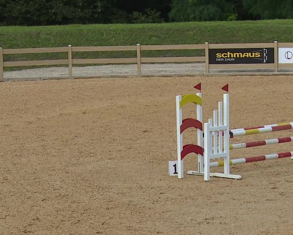 Reitturnier Tiefenhof 2023