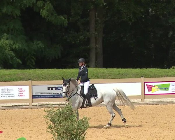 Reitturnier Tiefenhof 2023