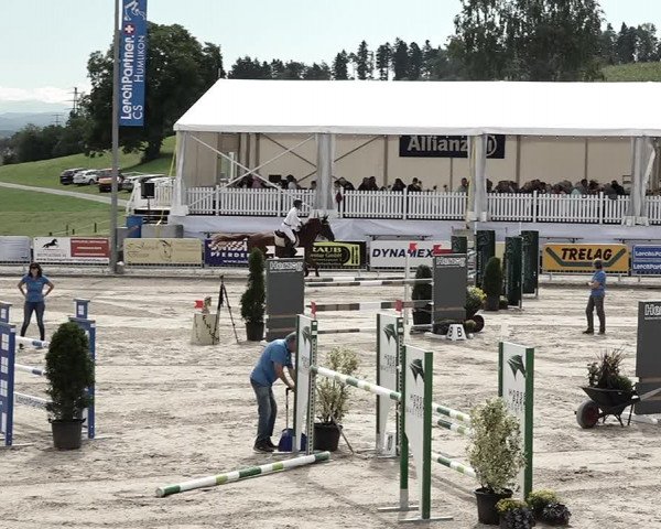 Reitturnier Humlikon 2023