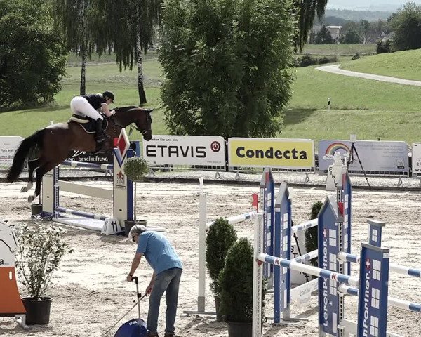 Reitturnier Humlikon 2023