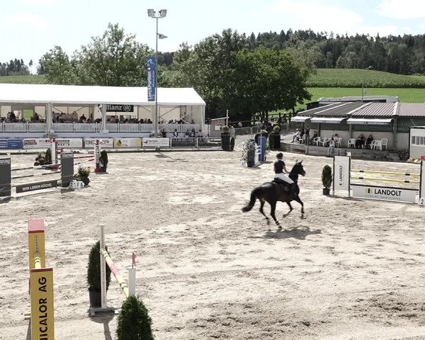 Reitturnier Humlikon 2023