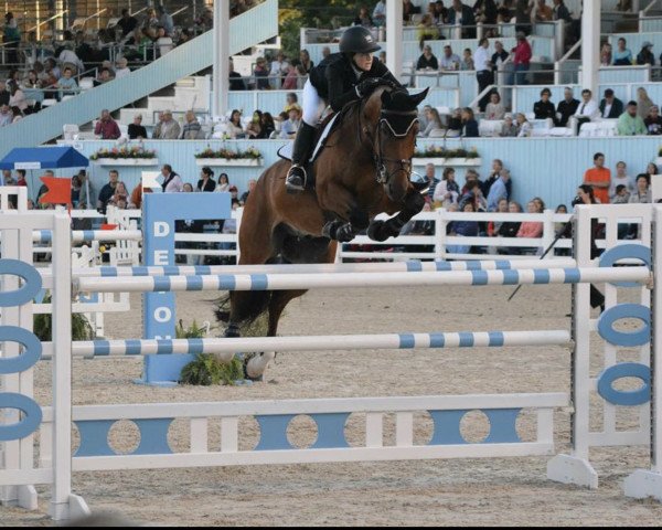 dressage horse Triviant (KWPN (Royal Dutch Sporthorse), 2000, from Voltaire)