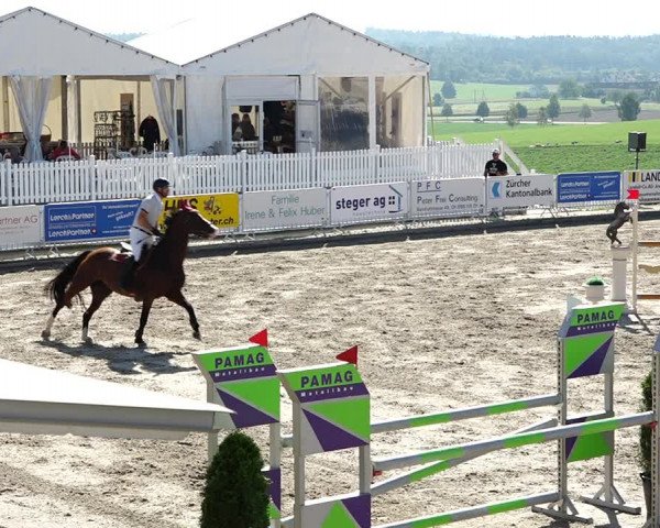 Reitturnier Humlikon 2023