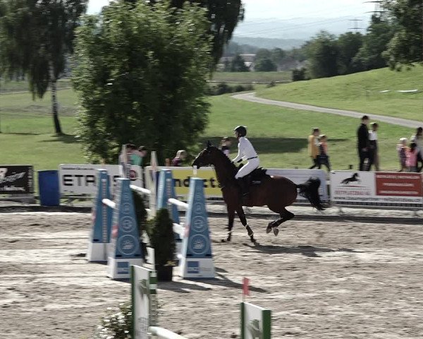 Reitturnier Humlikon 2023