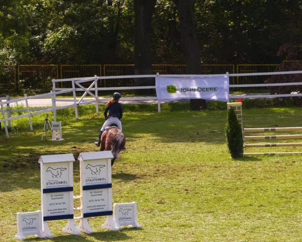 Reitturnier Müncheberg 2023